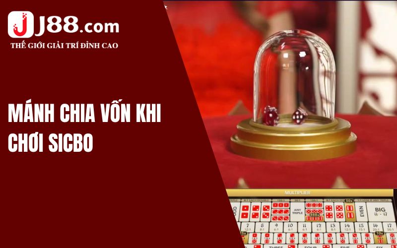 Mánh chia vốn khi chơi Sicbo