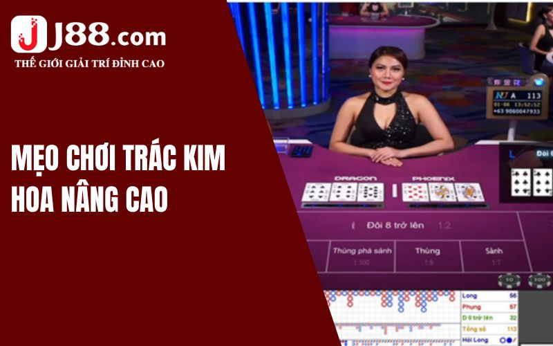 Mẹo chơi Trác Kim Hoa nâng cao dành cho bet thủ kinh nghiệm